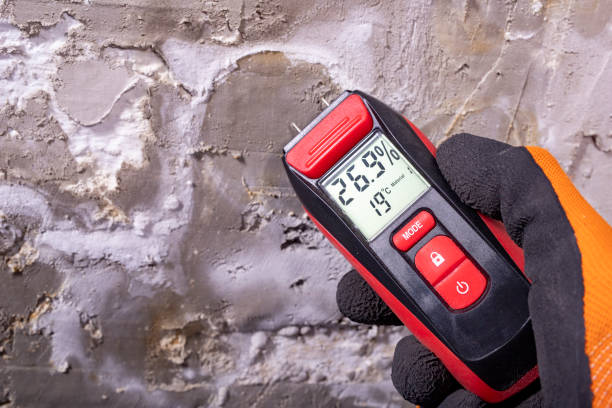 Mold Testing and Removal in Gibsonburg, OH