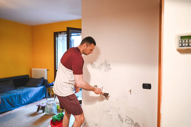 Best Attic Mold Removal  in Gibsonburg, OH
